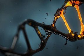 DNA数据存储的新方法使系统更加动态，可扩展