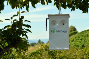 气候波动帮助农业科技平台 Semios 筹集了由 Morningside 领投的 1 亿美元融资