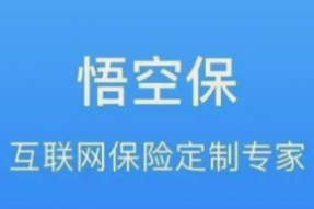 悟空保集团旗下悟空保：保险行业未来具备很多可能