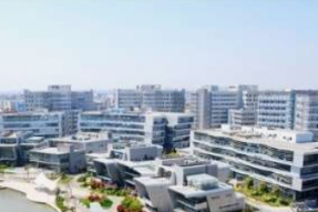 全员到岗“虎”力全开加快生产向未来