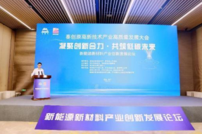 凝聚创新合力共筑低碳未来，新能源新材料产业创新发展论坛成功举办