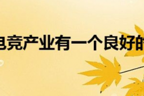 未来能够让电竞产业有一个良好的持续发展