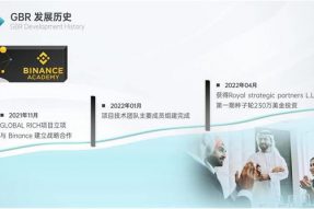 阿联酋皇家战略伙伴启动区块链项目